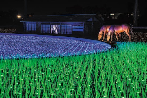 TOKYO MEGA ILLUMINATION/東京都品川区
