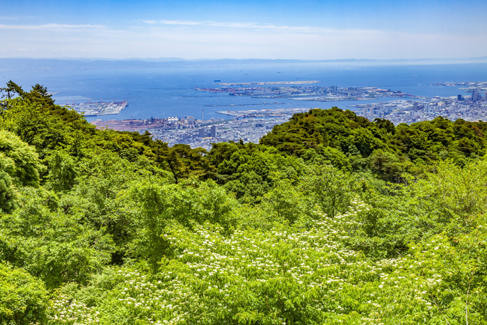 六甲山から望める風景(©photop5/Adobe stock)