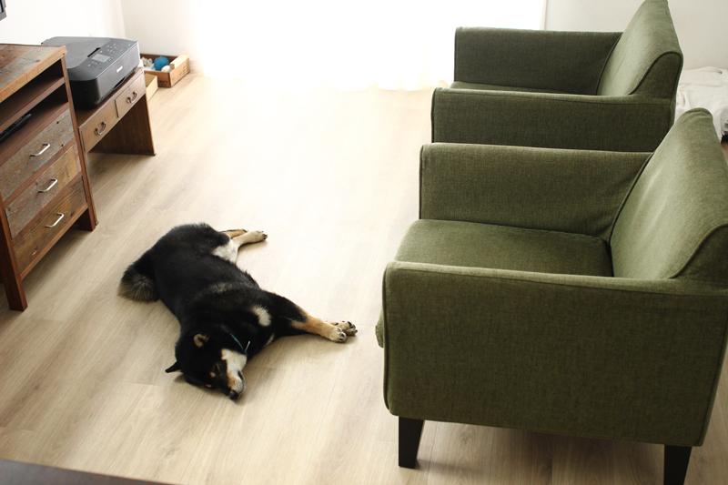 犬が滑らない安全なクッションフロアを敷きました