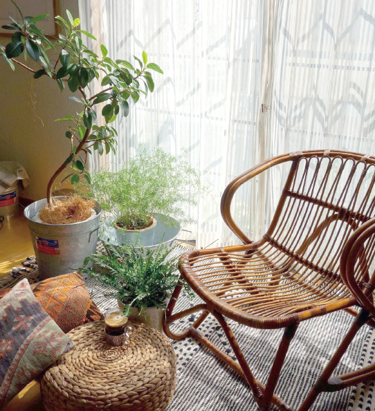 「園芸まわりのアイテムを探すなら古道具屋さん!ブリキのバケツやカゴなど、植物と飾ったら雰囲気が増しそうなアイテムがいっぱい」