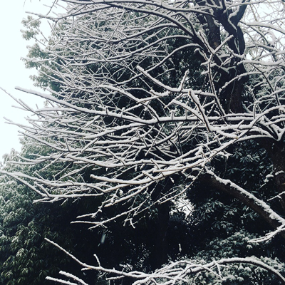 最寄り駅から自宅への道すがら、テンションが上って写真をパシャパシャと撮ってしまいました笑