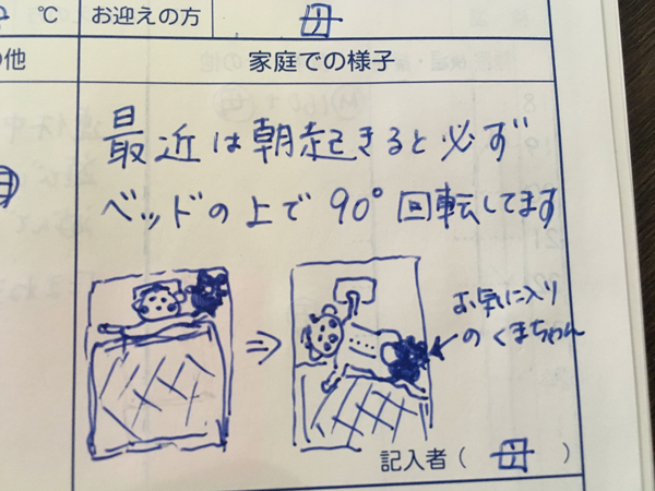 たまにはイラストでの報告も