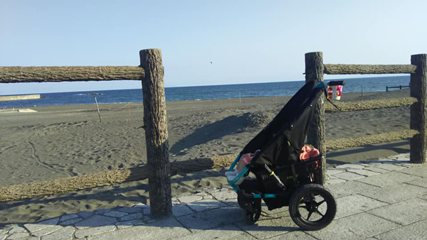 最近は週末に海まで散歩が恒例行事になってます