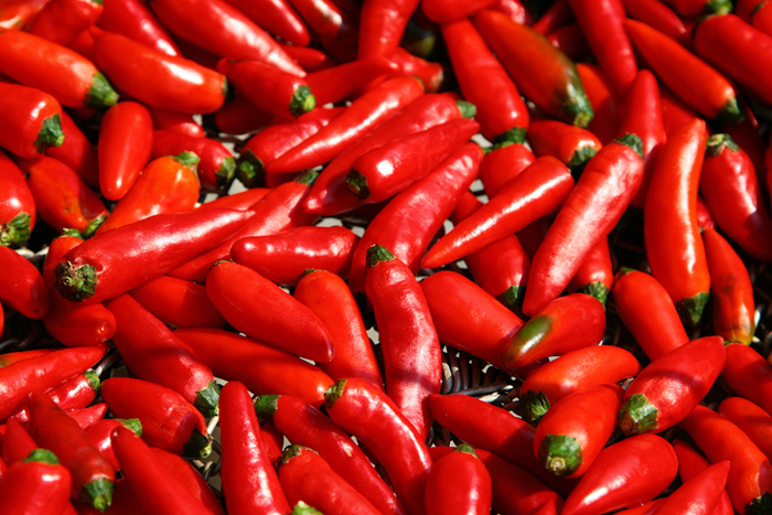 (イメージ写真=iStock.com/katoosha)
