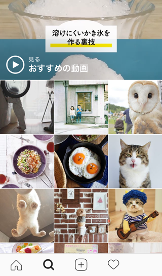 アプリの虫眼鏡アイコンをタップすると、あなたの好みに合ったおすすめの写真や動画が紹介されます。こちらは編集部Mさんのインスタ画面。猫が好きなのかもしれませんね。