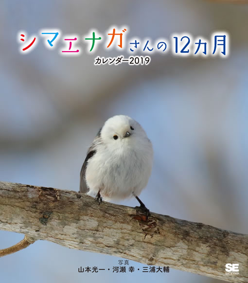 シマエナガさんの12ヵ月 カレンダー 2019 シマエナガさんの12ヵ月 カレンダー 2019