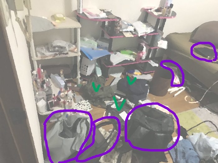 紫色の丸はバッグ・緑は衣類です