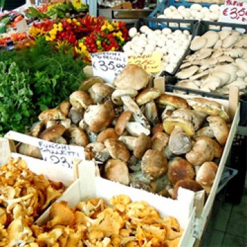 おいしいイタリアのお話をしましょう 1 4 みんなの暮らし日記online